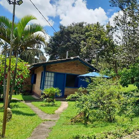 Pousada Balneario Cachoeira Do Moinho Belo Vale Luaran gambar