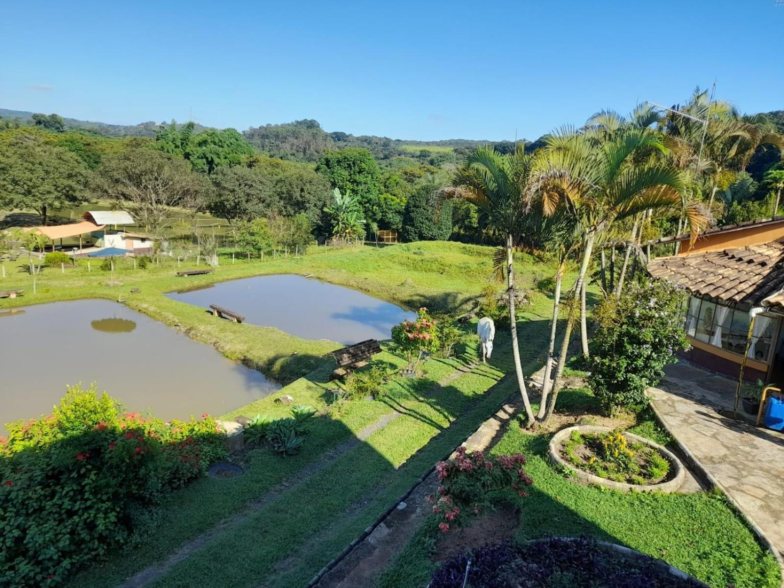 Pousada Balneario Cachoeira Do Moinho Belo Vale Luaran gambar